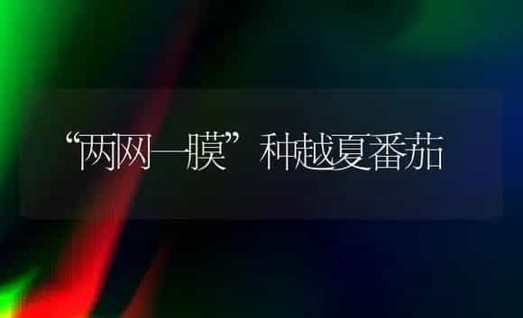 “两网一膜”种越夏番茄 | 植物科普