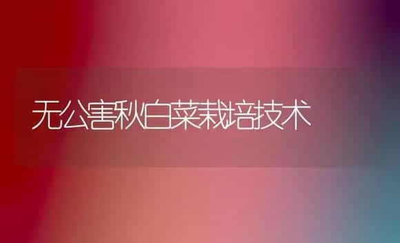 无公害秋白菜栽培技术 | 植物科普
