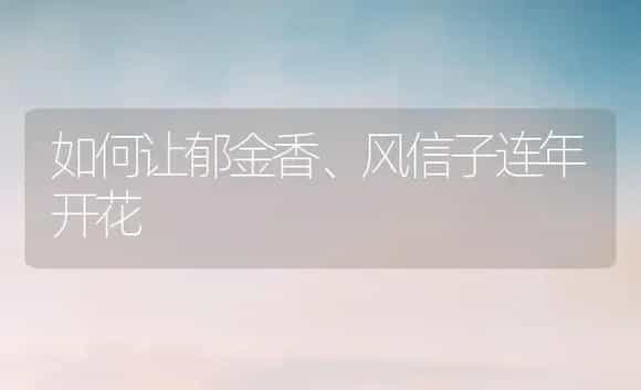 如何让郁金香、风信子连年开花 | 植物科普