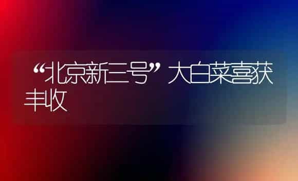 “北京新三号”大白菜喜获丰收 | 植物科普