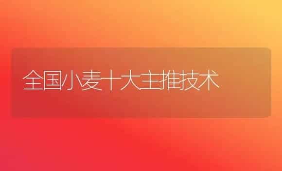 全国小麦十大主推技术 | 植物科普