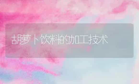 胡萝卜饮料的加工技术 | 植物百科