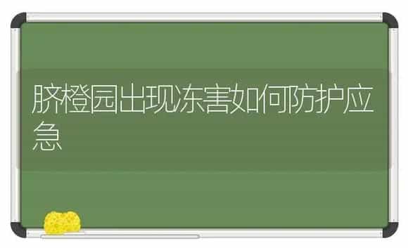 脐橙园出现冻害如何防护应急 | 植物科普