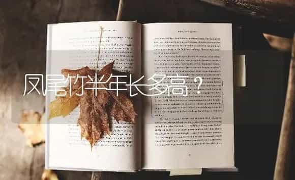 凤尾竹半年长多高? | 植物问答