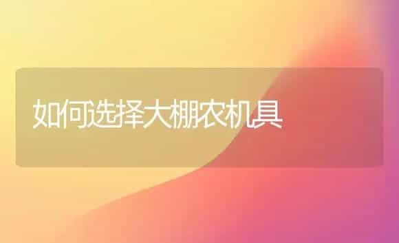 棚室外生菜栽培技术 | 植物科普