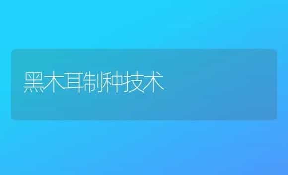 黑木耳制种技术 | 植物科普