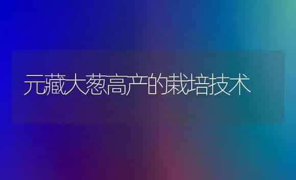 元藏大葱高产的栽培技术 | 植物科普