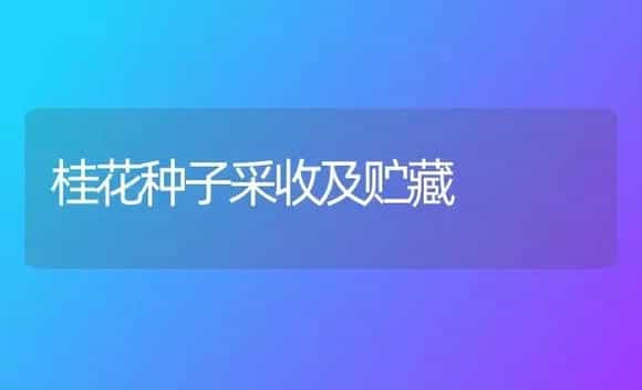 桂花种子采收及贮藏 | 植物科普