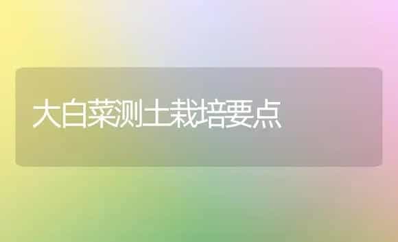 大白菜测土栽培要点 | 植物科普