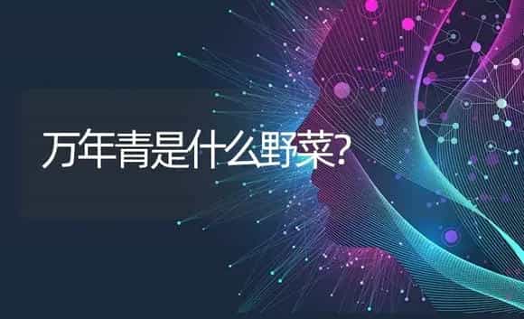 万年青是什么野菜？ | 植物问答