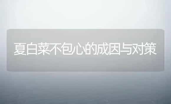 夏白菜不包心的成因与对策 | 植物科普