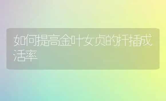 如何提高金叶女贞的扦插成活率 | 植物科普