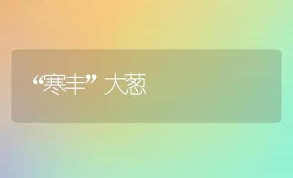“寒丰”大葱 | 植物科普