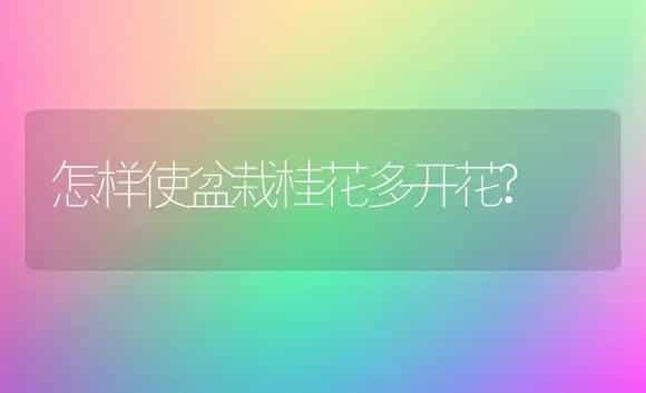 怎样使盆栽桂花多开花? | 植物科普