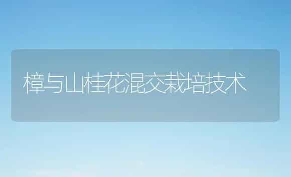 樟与山桂花混交栽培技术 | 植物科普
