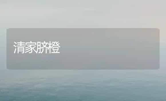 清家脐橙 | 植物科普