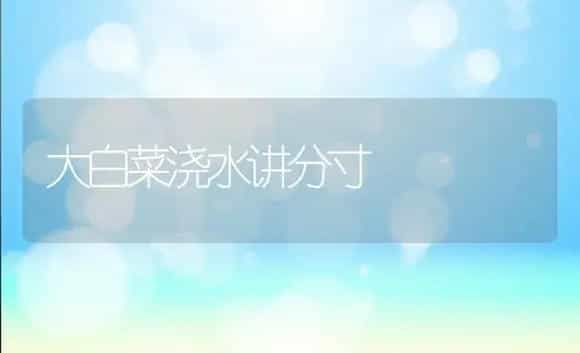 大白菜浇水讲分寸 | 植物科普