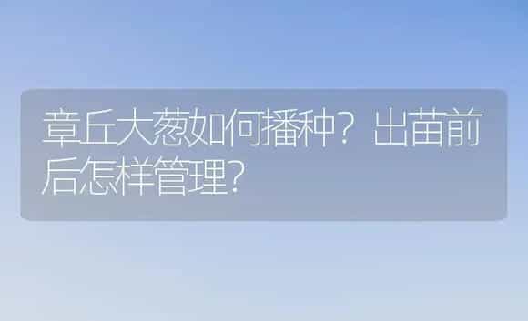 章丘大葱如何播种？出苗前后怎样管理？ | 植物科普