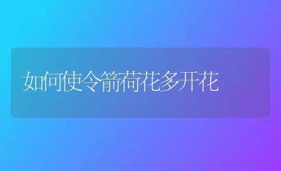 如何使令箭荷花多开花 | 植物科普