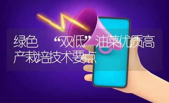 绿色 “双低”油菜优质高产栽培技术要点 | 植物资料