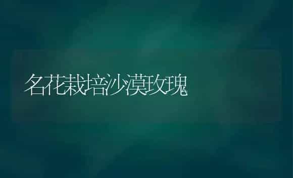 名花栽培沙漠玫瑰 | 植物科普