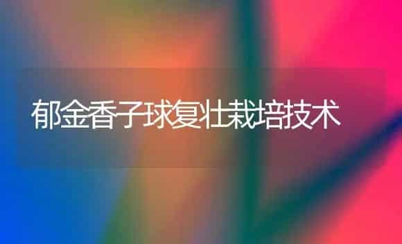 郁金香子球复壮栽培技术 | 植物科普