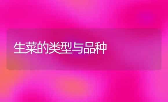 生菜的类型与品种 | 植物科普