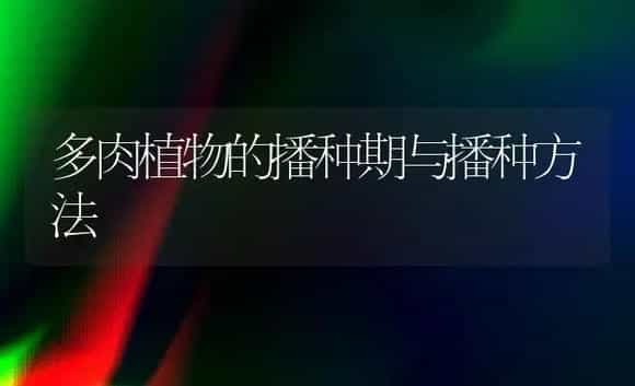 多肉植物的播种期与播种方法 | 植物知识