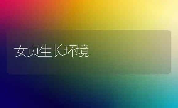 女贞生长环境 | 植物科普
