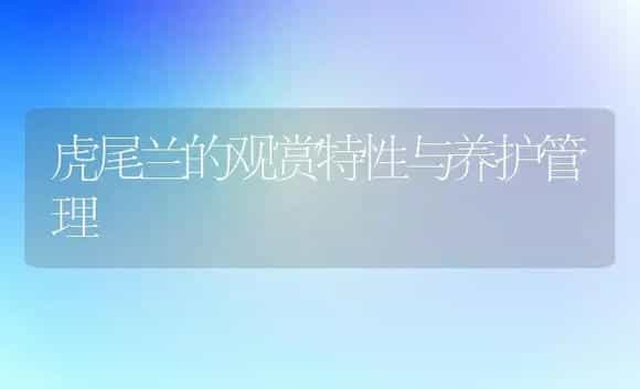 虎尾兰的观赏特性与养护管理 | 植物科普