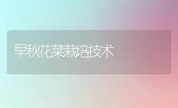 早秋花菜栽培技术 | 植物科普
