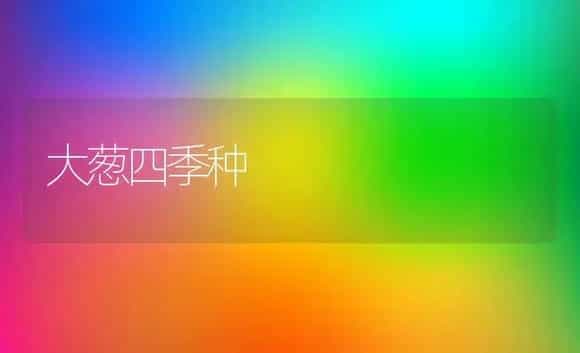 大葱四季种 | 植物科普