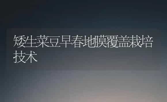 矮生菜豆早春地膜覆盖栽培技术 | 植物科普