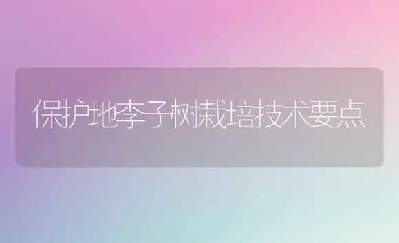 保护地李子树栽培技术要点 | 植物科普