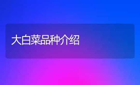 大白菜品种介绍 | 植物科普