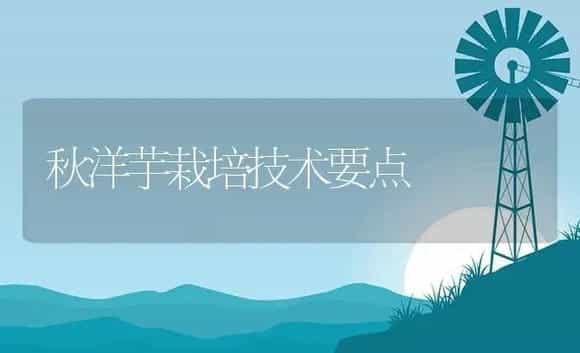 秋洋芋栽培技术要点 | 植物资料