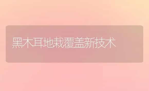 黑木耳地栽覆盖新技术 | 植物科普