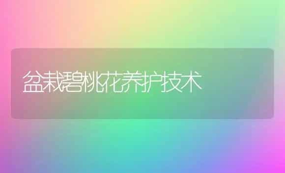 盆栽碧桃花养护技术 | 植物科普