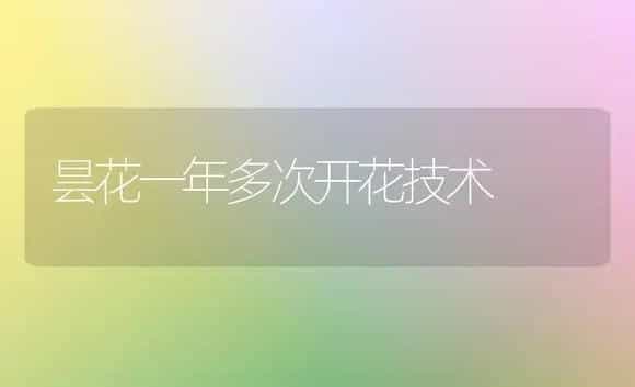 昙花一年多次开花技术 | 植物科普