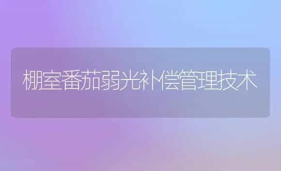 棚室番茄弱光补偿管理技术 | 植物科普