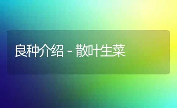 良种介绍－散叶生菜 | 植物科普