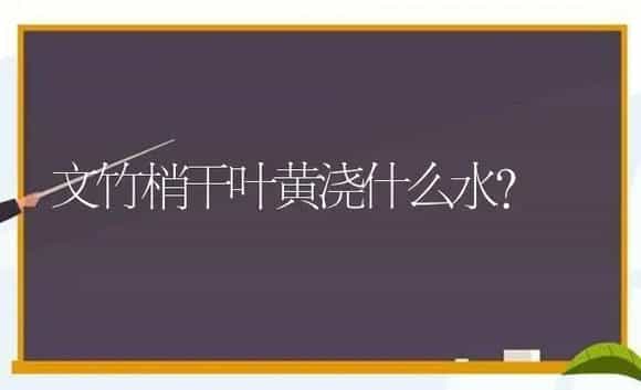 信息素味道都有哪些？ | 植物问答