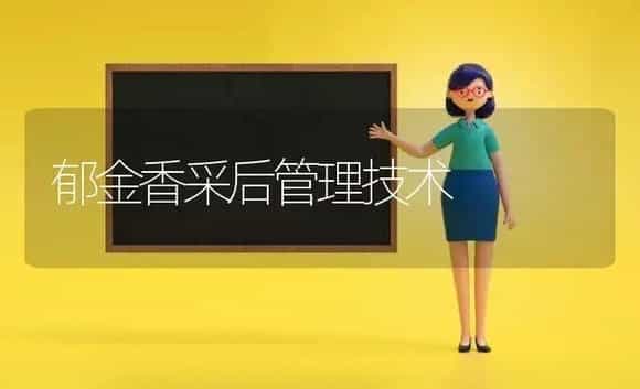 郁金香采后管理技术 | 植物科普