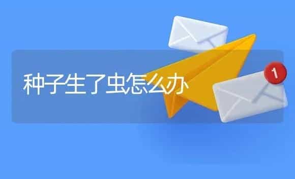 种子生了虫怎么办 | 植物资料