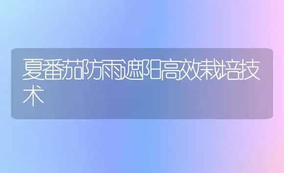 夏番茄防雨遮阳高效栽培技术 | 植物科普