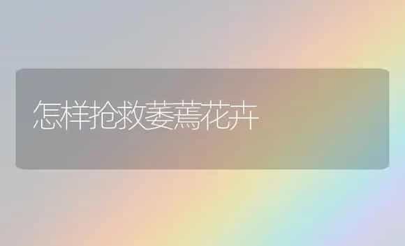 怎样抢救萎蔫花卉 | 植物科普