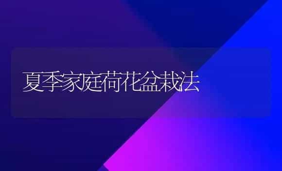 夏季家庭荷花盆栽法 | 植物科普