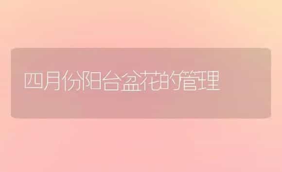 紫薇主要虫害及其防治方法(二) | 植物知识