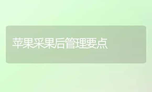 如何栽培玫瑰花-花卉苗木养护管理 | 植物科普