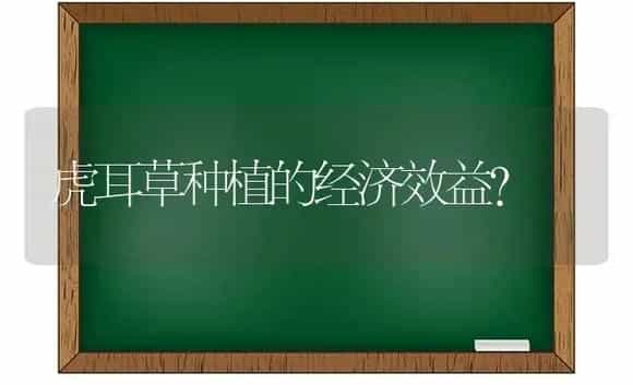 虎耳草种植的经济效益？ | 植物问答